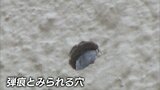 岡山でも銃所持か…山上容疑者「岡山に持って行った銃とは別の銃を使った」趣旨の供述|TBS NEWS DIG