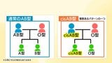 「この子は誰の子…」血液型の遺伝が招く家族トラブルも A型でもB型でもO型でもAB型でもない“cisAB型”とは|TBS NEWS DIG