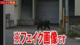 “フェイク画像”とみられるものも…　投稿写真に複数の「不自然な点」　画像を見た地域住民「あきれる」　虚偽投稿相次いだ「くまログあおもり」　当面の間は夜〜早朝の投稿不可に|TBS NEWS DIG