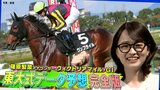 競馬・ヴィクトリアマイル 本命はウンブライル、対抗はナミュール【東大式データ予想】|TBS NEWS DIG
