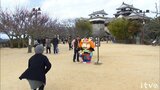 新春の松山城に芸者さん 「お城の舞」 | 愛媛のニュース - Nスタえひめ|あいテレビは6チャンネル