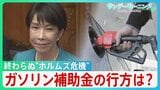 店頭から消える“色彩”…ナフサ問題「流通の目詰まり」　野党は“買い占め”に政府介入求めるも高市総理は否定的　補正予算めぐり論戦、ガソリン補助金見直しの行方は？【サンデーモーニング】|TBS NEWS DIG