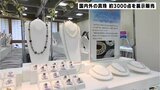 総額5億円相当 国内外の真珠約3000点がそろう「JFえひめパールフェスタ」開催 | 高知のニュース・天気|KUTV NEWS | KUTVテレビ高知