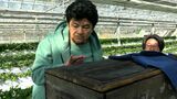 「死の恐怖までもが日常の一部だが…」ウクライナの養蜂家らが山田養蜂場を視察 養蜂産業の復興に向け加工技術を学ぶ【岡山】|TBS NEWS DIG