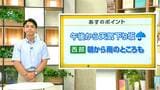 高知の天気 6月19日 次第に雨の範囲広がる 山岸拓気象予報士が解説|TBS NEWS DIG