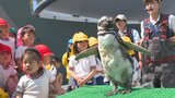 GW目前 うみたまご「あそびーち」の大規模リニューアル完了 動物と間近で触れ合い 大分 | 大分のニュース|OBS NEWS|大分放送