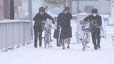 大分・日田市と中津市で積雪観測 北部と中部の沿岸に暴風雪警報 小中高81校休校|TBS NEWS DIG