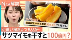 干し芋が人気 サツマイモを干すと…100億円の価値？ 業界期待の品種「ハロウィンスイート」とは【Nスタ解説】| TBS CROSS DIG with Bloomberg