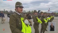 南米チリ　未来の警察犬たちが軍事パレードでお披露目| TBS CROSS DIG with Bloomberg