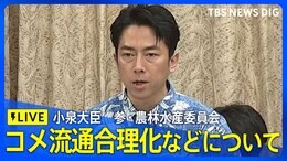 【LIVE】参院農林水産委員会 小泉大臣がコメなど食品等の流通合理化など質疑 2025年6月3日午後1時05分~|TBS NEWS DIG