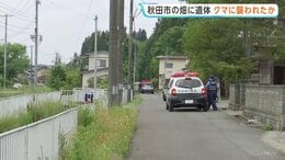 「人のようなものが倒れている」秋田市の畑で身元不明の遺体 クマに襲われたか　付近でクマ駆除|TBS NEWS DIG