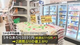 コメ平均価格3891円 2週間ぶり値上がり 今後3か月の見通しも過去最大の上昇幅に|TBS NEWS DIG