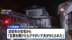 「カサカサって変な音がして」群馬・沼田市で男性(69)が玄関前でクマに襲われけが 右肩を引っかかれ尻をかまれる 警察「不要不急の外出控えて」|TBS NEWS DIG