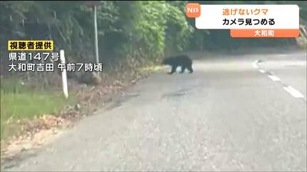 クマ動画有り】「じっとこちらを見つめていた」人見ても逃げない“クマ