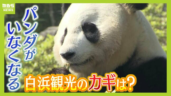 どうなる？パンダ返還後の白浜観光　温泉・ビーチ・アクセスの良さ「他とは比べられない強みある」と専門家　カギは熱海のような『街歩き』か|TBS NEWS DIG