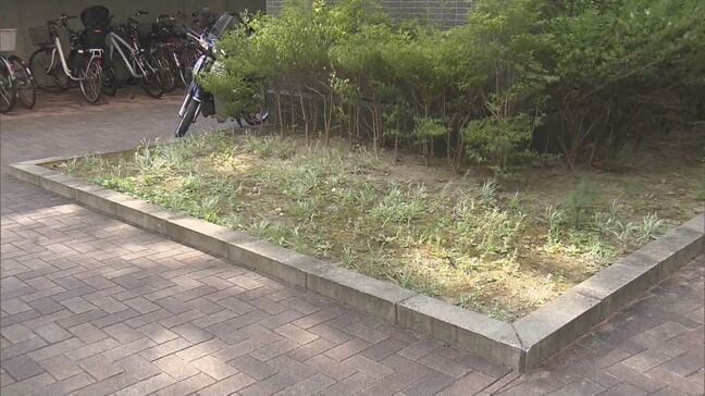 除染土の再利用　仙台市・さいたま市でも　地元は「もう少し早く進むのかと…」|TBS NEWS DIG