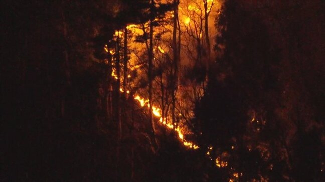 山林火災　火はもっとも近い住宅までおよそ50メートルに迫る　ほこら周辺が火元で延焼か　山梨・上野原市の扇山|TBS NEWS DIG