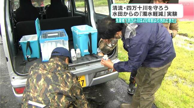「四万十川は40年前より汚れてきた」清流・四万十川を守ろう 水田からの「濁水軽減」目指して実験|TBS NEWS DIG