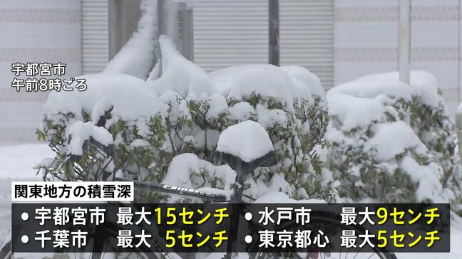 東京都心でも最大5cmの積雪観測　関東各地で雪降り続く　衆議院選挙投票や大学入試に影響も　9日午前6時までに多いところで40cmの降雪予想|TBS NEWS DIG