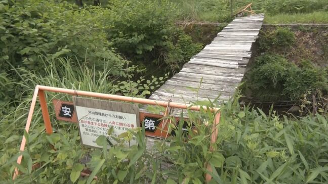 一体誰が何のために？老朽化すすむ“勝手橋” 管理者不明で撤去も修理もできず 事故が起きた時の責任は… 岐阜県内に700か所以上|TBS NEWS DIG