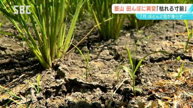 渇水でコメ農家が悲鳴 飯山市では水不足でひび割れも…「水田はカラッカラ」 ポンプで水をくみ上げる緊急対応も 長野|TBS NEWS DIG
