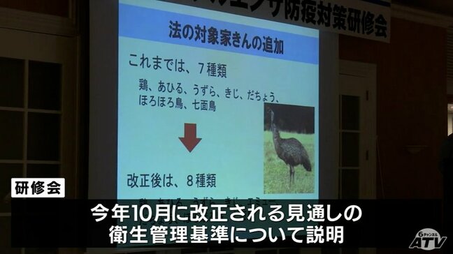 鳥インフル発生が増える時期を前に養鶏業者が防疫の研修　県がリモートで確認・指導するモデル農場の設定など説明　青森県|TBS NEWS DIG