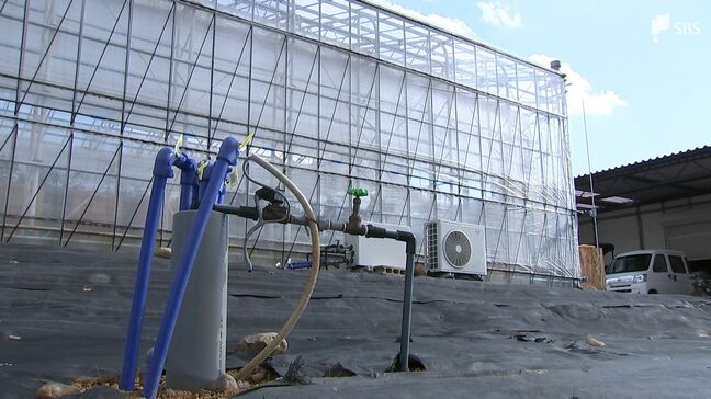 「冬場は温かい水が戻りエアコンの省エネになる」農業ハウスで"地熱"活用して冷暖房をアシスト 二酸化炭素排出量を大幅削減 【SDGs】|TBS NEWS DIG