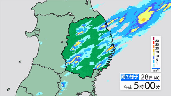 岩手県ではこれまでの大雨により、地盤の緩んでいる所があります　29日明け方にかけて土砂災害、低い土地の浸水、河川の増水や氾濫に警戒を|TBS NEWS DIG