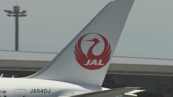 日本航空の国際線機長らの飲酒によるトラブル　客室乗務員が「運航を行うこと」について再考を提言|TBS NEWS DIG
