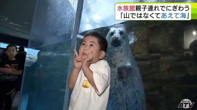 「山じゃなくて海をあえて選びました」本州最北の浅虫水族館　「山の日」でも賑わう　ダイナミックなイルカーショー＆約１５ｍのトンネル水槽＆アザラシと写真も　お盆も連日大盛況|TBS NEWS DIG
