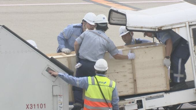 フィリピンで射殺 日本人2人の遺体が帰国　都内の警察署で司法解剖へ　“複数の日本人関与”とみて首謀者特定を進める　警視庁|TBS NEWS DIG