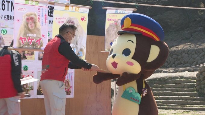 12キロ超の重量級ヒロイン「ダブリュ」が初エントリーで頂点に　大分市の高崎山自然動物園で選抜総選挙|TBS NEWS DIG