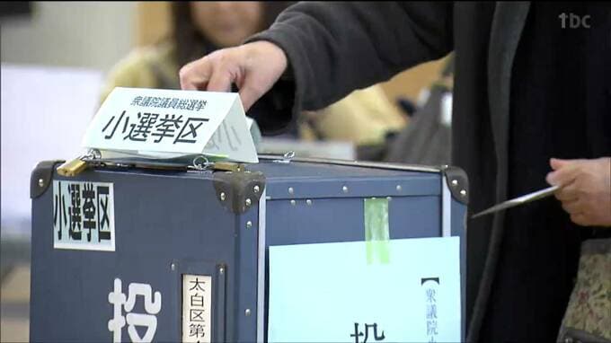 衆議院選挙の投票進む 推定中間投票率24.9%前回を下回る（午後４時現在）宮城|TBS NEWS DIG