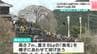 高さ7メートル、重さ8キログラムの「鳥毛」を高々と投げる鳥毛ひねりが見どころ！小雨の中でも「秋葉まつり」は熱気に包まれる【高知・仁淀川町】　|　高知のニュース・天気｜KUTV NEWS | KUTVテレビ高知