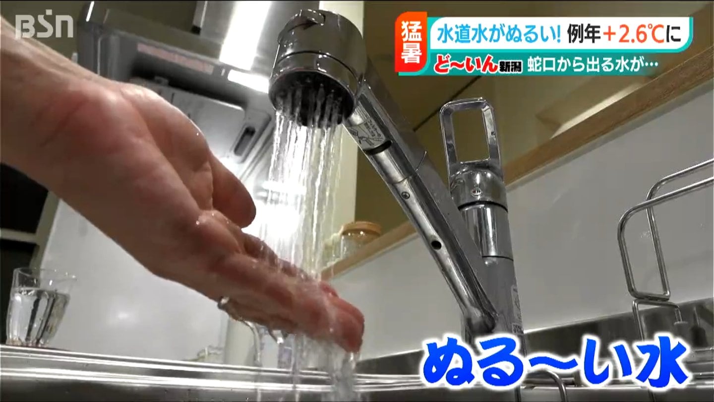 「水道水がぬるい」調べてみると例年より2.6℃高かった 猛暑の影響か…原因は取水源・川の水温 | TBS NEWS DIG