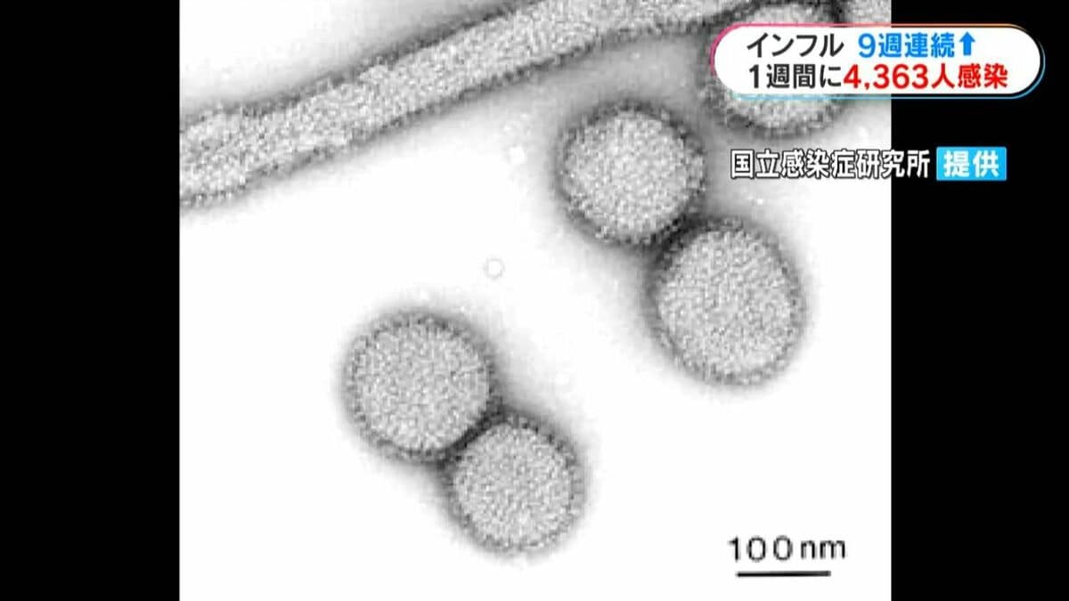 インフルエンザ9週連続増加「帰省で高齢者・大人数で会う機会」感染