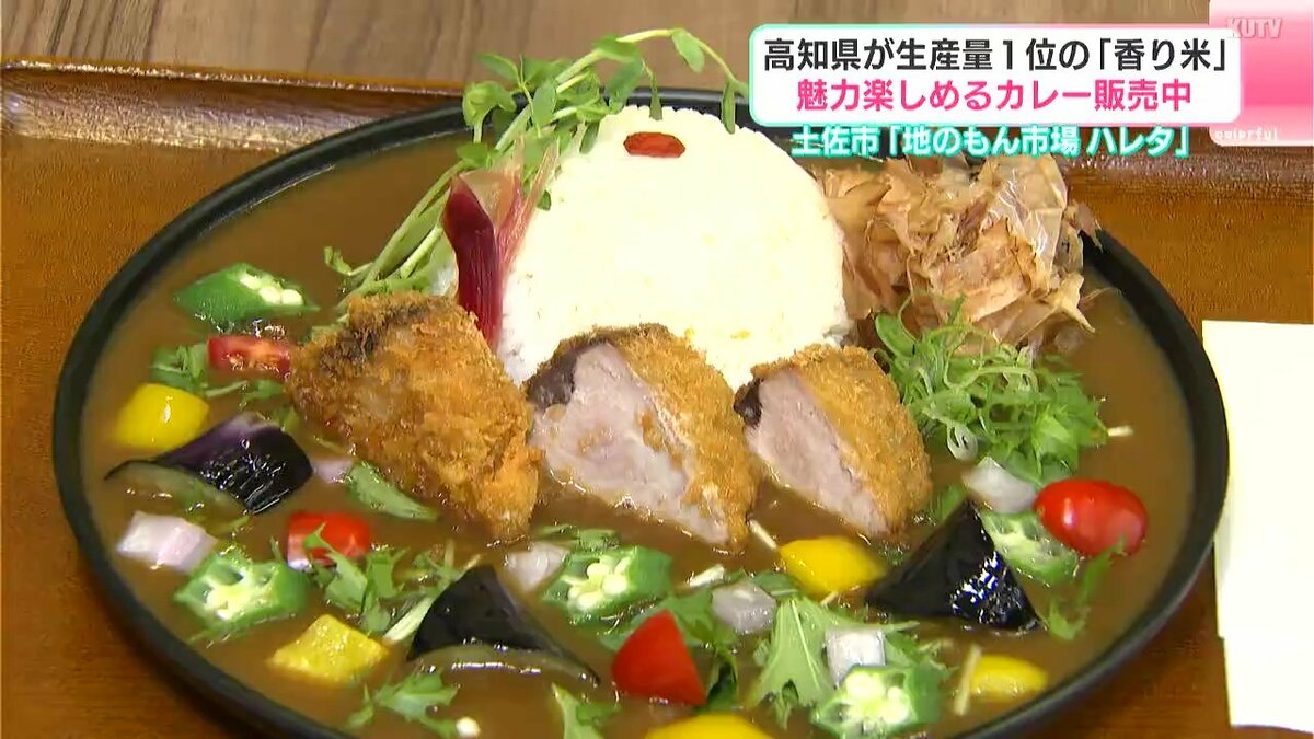 「家庭で少しでも利用シーンを増やして行きたい」高知県が生産量No.1 「香り米」の魅力楽しめるカレー
