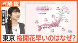 東京ポカポカ 4月下旬並みの気温、さくらの開花はいつ頃に?見ごろは?【Nスタ解説】|TBS NEWS DIG