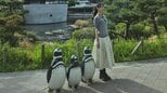 【 森川葵 】「笑」ペンギンと見分けつかず 独特の存在感にフォロワー「クマンナからペンギンヌに」「何回もみてまう」|TBS NEWS DIG