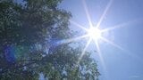 東日本と北日本で気温上昇 全国140地点以上で真夏日に “35℃以上”の猛暑日予想も|TBS NEWS DIG