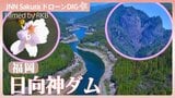 千本桜とハート岩【JNN sakuraドローンDIG 2026】|TBS NEWS DIG