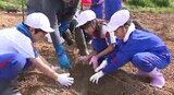 「大きくなって」収穫は2年後…小学生がワイン用ブドウの植え付け体験 長野・東御市|TBS NEWS DIG