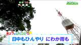 【14日宮城の天気】日中もひんやりとした体感が続く・昼前後にはにわか雨の所も【降水の予想図あり】tbc気象台|TBS NEWS DIG