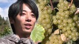 「荒地の石拾いからはじめました」ワインブドウ未開の地から“たった一人”で生み出す至極の一杯 　でも頑張れるのは“一人じゃない”そのワケは|TBS NEWS DIG