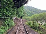 土砂流入で5日から一部区間運休のJR予土線、復旧の見通したたず当面運休続く見込み バスによる代替輸送あり【高知】|TBS NEWS DIG