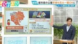 「公園で手持ち花火」都市部で“解禁”の動き 燃えカスがスカートに引火…遊ぶ際の注意点は?【ひるおび】|TBS NEWS DIG