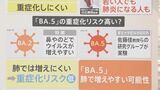 「重症化リスクが高い可能性」【BA.5】は肺で増殖するという研究結果も…|TBS NEWS DIG