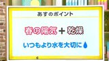高知の天気　13日　広い範囲で晴れ　空気の乾燥に注意　山岸拓気象予報士が解説|TBS NEWS DIG