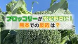 「指定野菜」にブロッコリーが仲間入り！実は体づくりに最適なすごい野菜だった【糸永調査隊】　|　熊本のニュース｜RKK NEWS｜RKK熊本放送