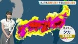 佐賀39℃、名古屋38℃予想ときょうも危険な暑さ 熱中症に厳重警戒を　昼過ぎから発雷確率高く急な雷雨に警戒を【予報士解説】|TBS NEWS DIG